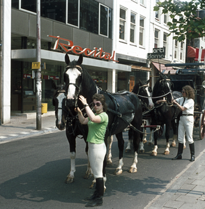 119124 Afbeelding van enkele aangespannen paarden voor een koets in de Zadelstraat te Utrecht.